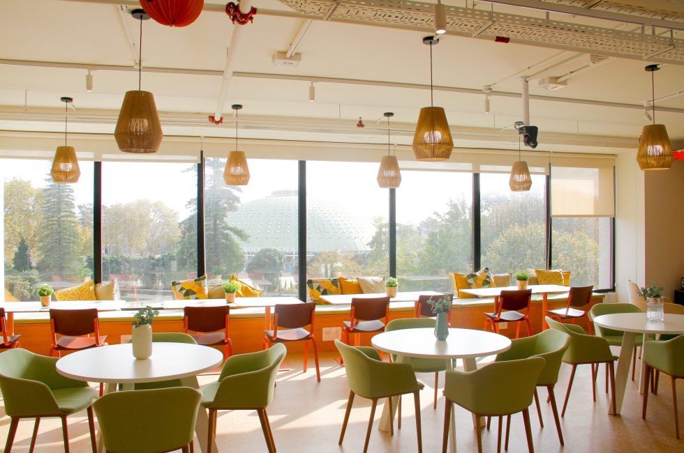 fit-out escritórios remodelação de espaços zuhlke